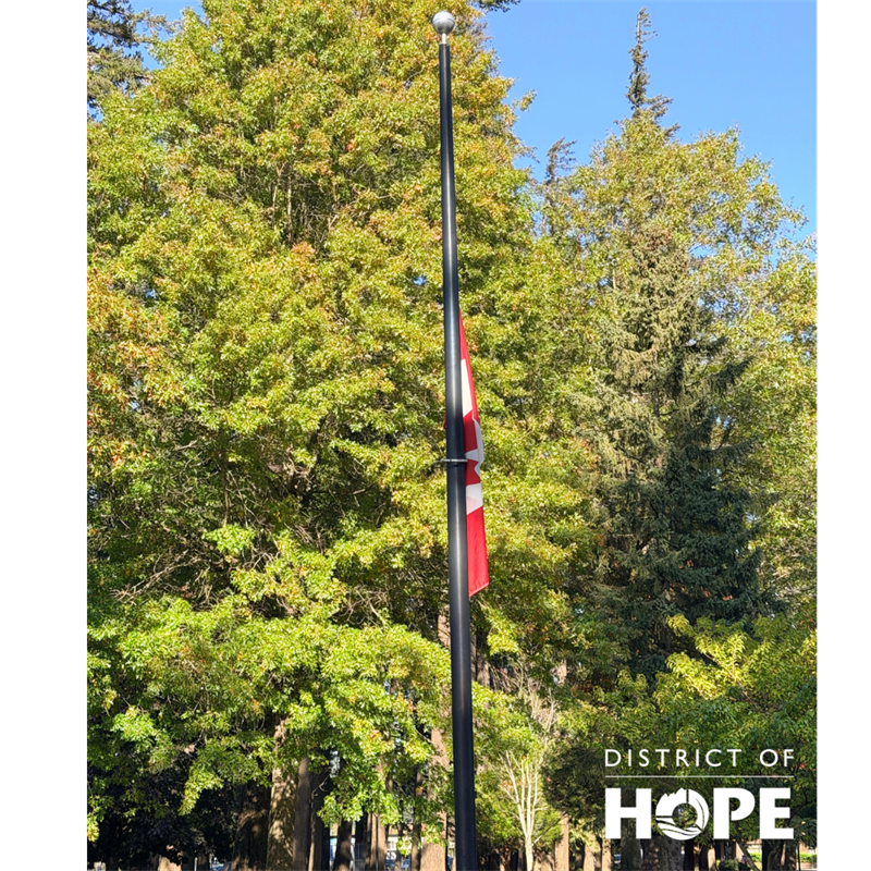 Flag_half_mast_(1)